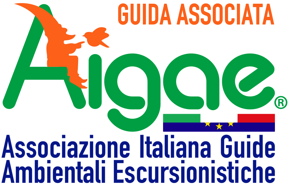 Logo Aigae